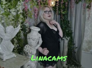 Linacams