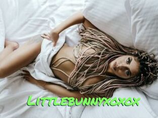littlebunnyxoxox Gros Seins