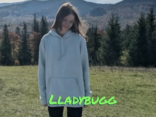 Lladybugg