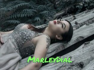 MarleyDial Gros Seins
