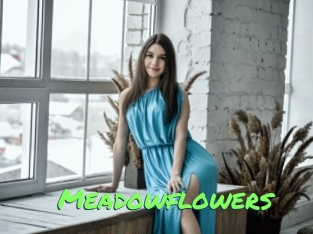Meadowflowers