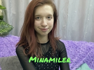 Minamiler