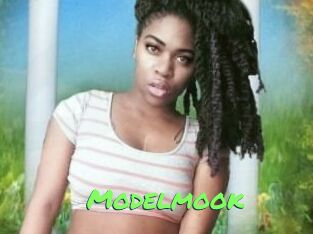 Modelmook