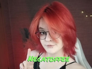 necatoffee Gros Seins