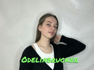 Odeliabrucker