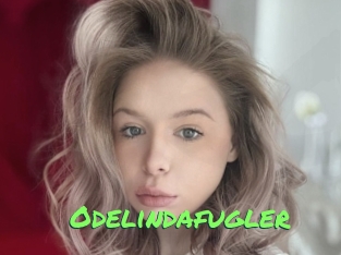 Odelindafugler