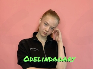 Odelindagary