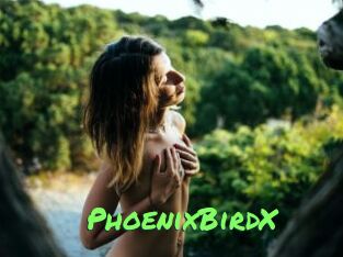 PhoenixBirdX
