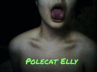Polecat_Elly