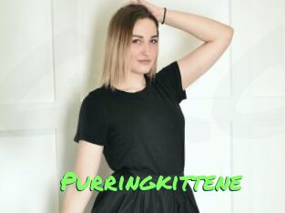 Purringkittene