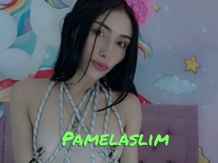 pamelaslim Gros Seins