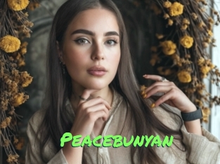 Peacebunyan