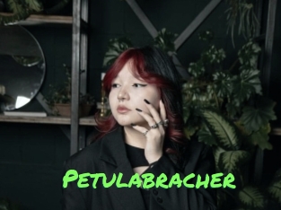 Petulabracher