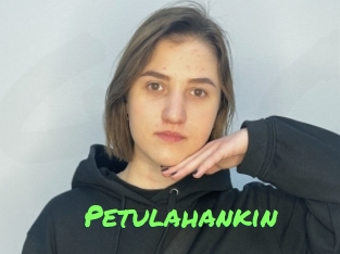 Petulahankin
