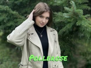 Pollerose