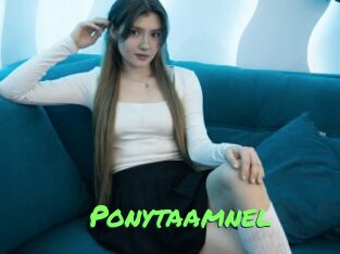 Ponytaamnel