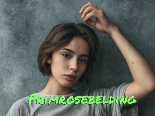 primrosebelding Gros Seins