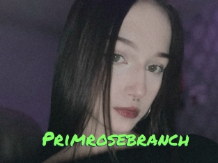 Primrosebranch