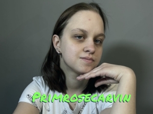 primrosecarvin Gros Seins