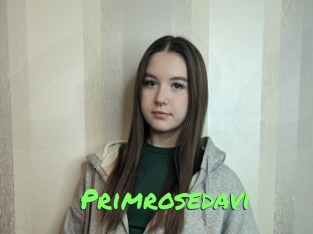 Primrosedavi
