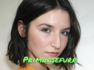 Primrosefurr