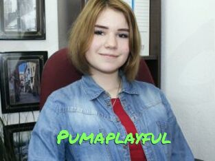 Pumaplayful
