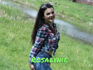 Rosalynie Gros Seins