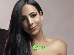 Rice