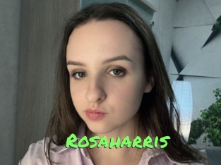 rosaharris Gros Seins