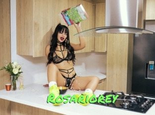Rosariorey