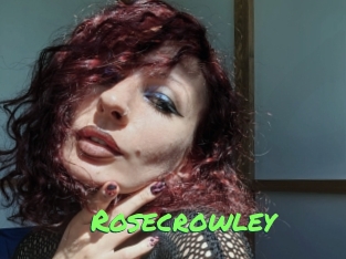 rosecrowley Gros Seins