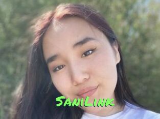 SaniLink