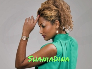 ShaniaDina Gros Seins
