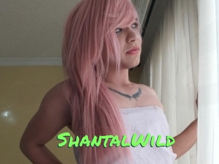 ShantalWild Gros Seins