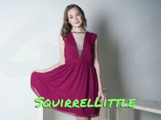 SquirrelLittle