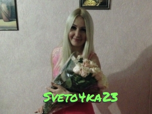 Sveto4ka23