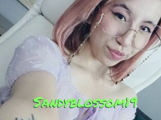 Sandyblossom19