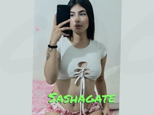 Sashagate