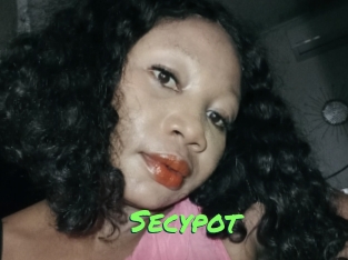 Secypot