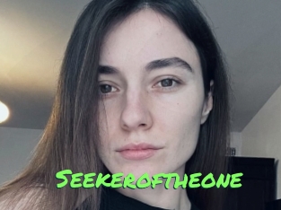 Seekeroftheone