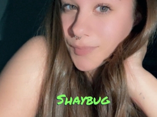 Shaybug