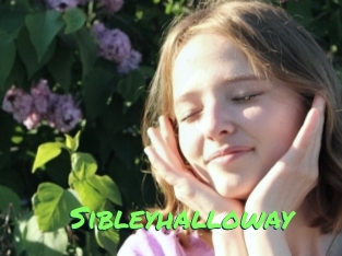 Sibleyhalloway