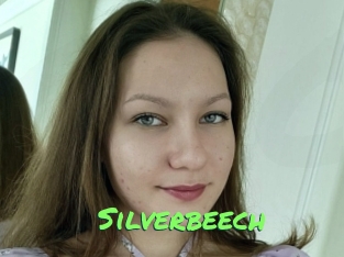 Silverbeech