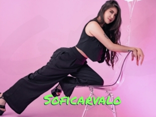 soficarvalo Gros Seins