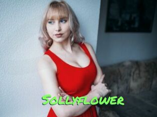 Sollyflower