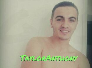 TaylorAnthony Gros Seins