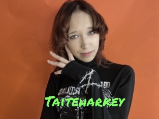 Taiteharkey