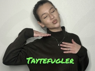 Taytefugler