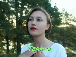 Teamur