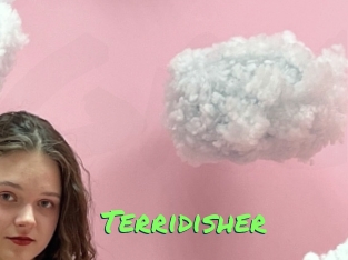 terridisher Gros Seins